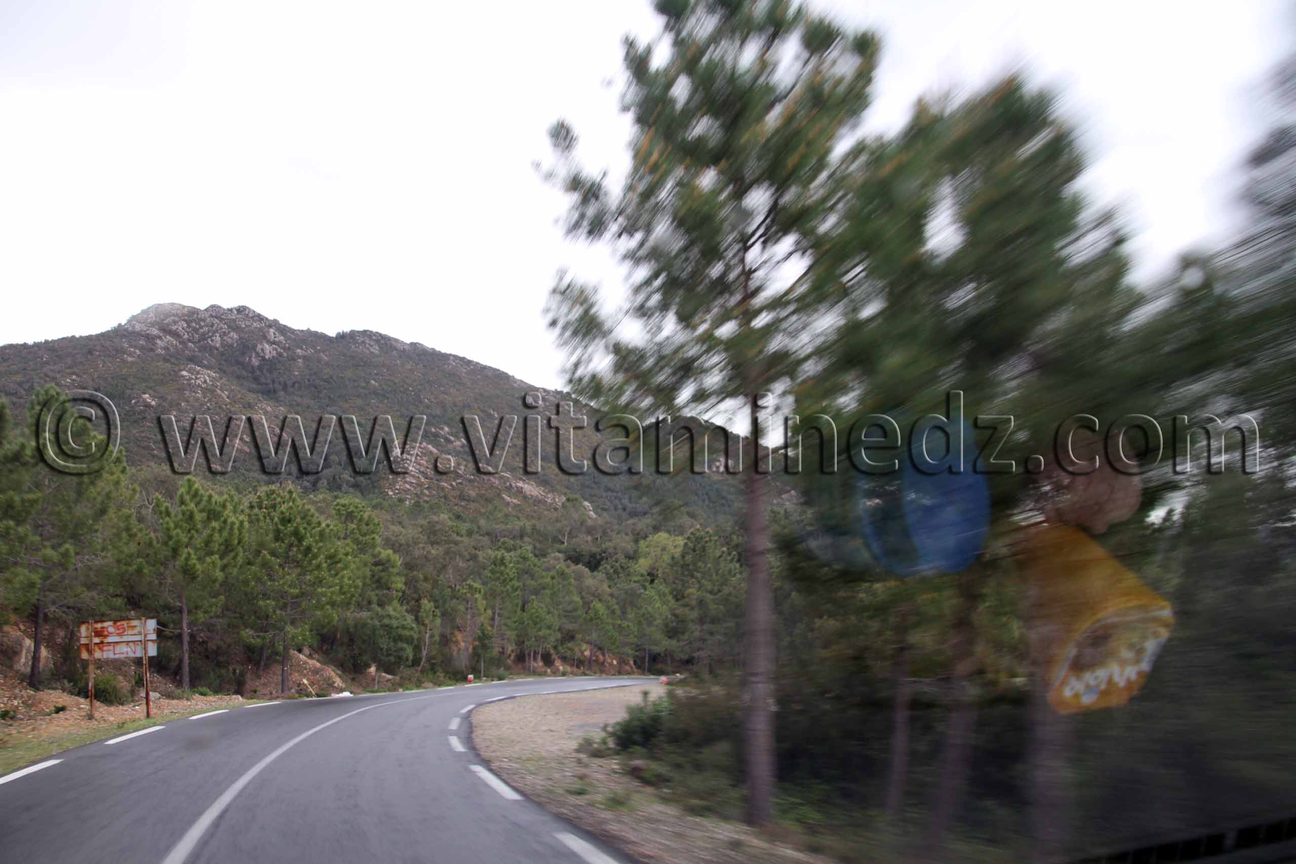 Route des Frontières algéro-tunisiennes, vers oum Tboul