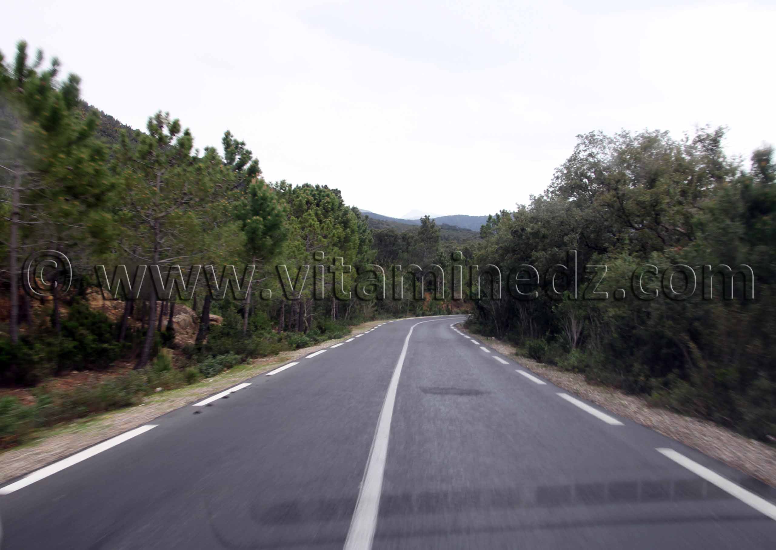 Route vers Frontières algéro-tunisiennes