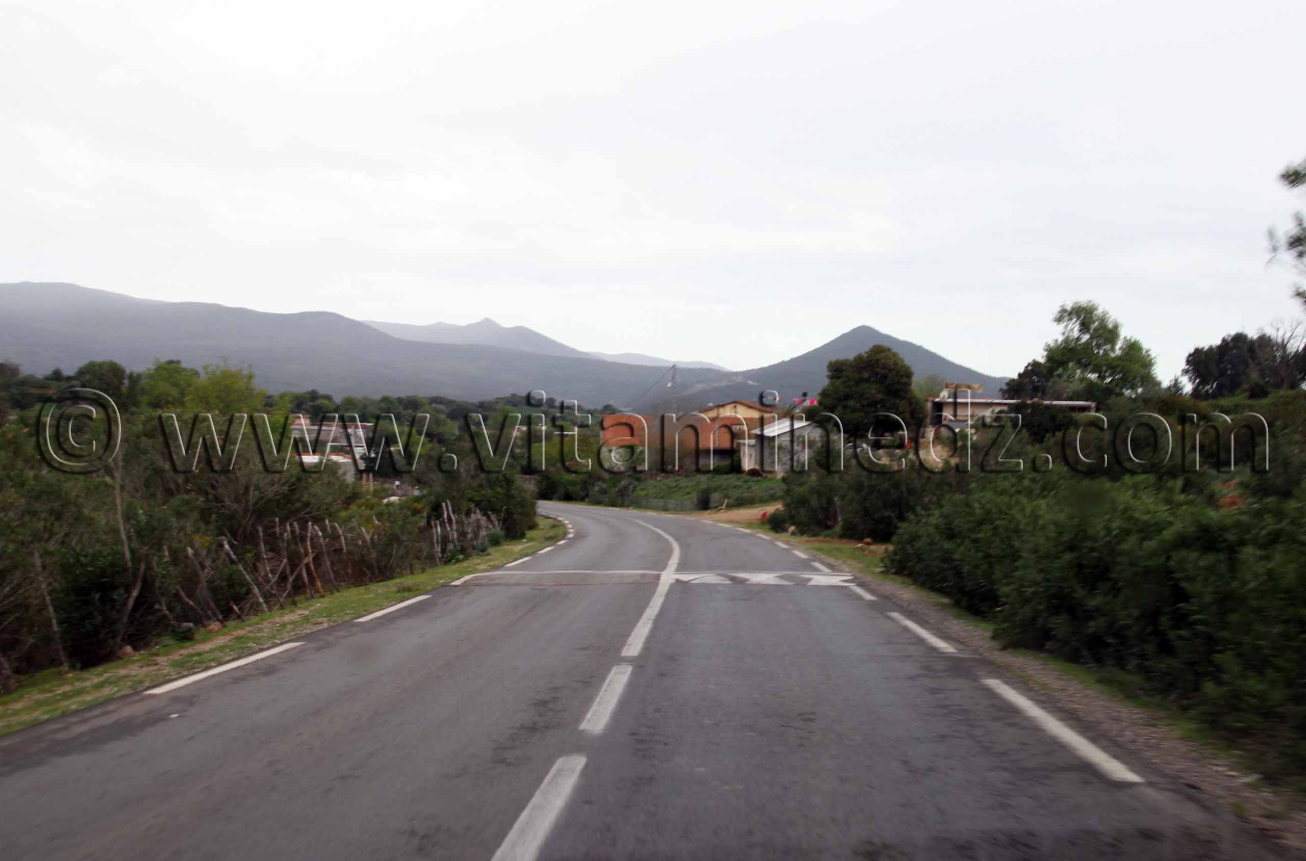 Village Hadada, commune de souarikh (Wilaya El Taref)
