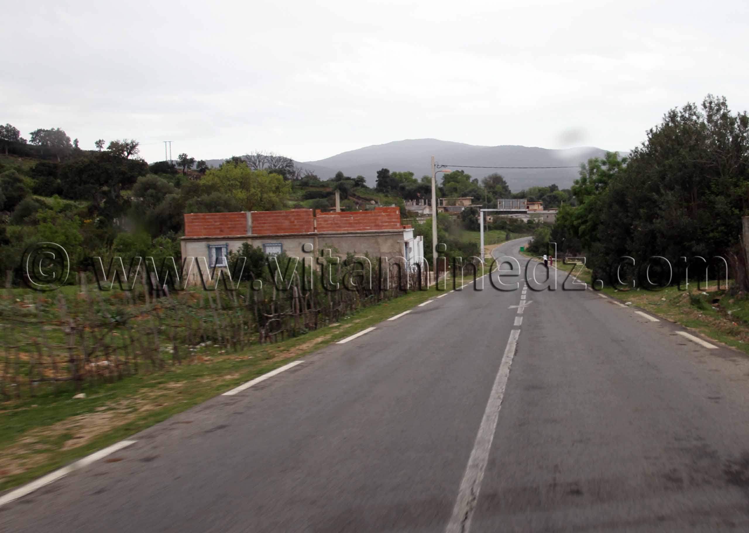 Village Haddada, commune de souarikh (Wilaya El Taref)