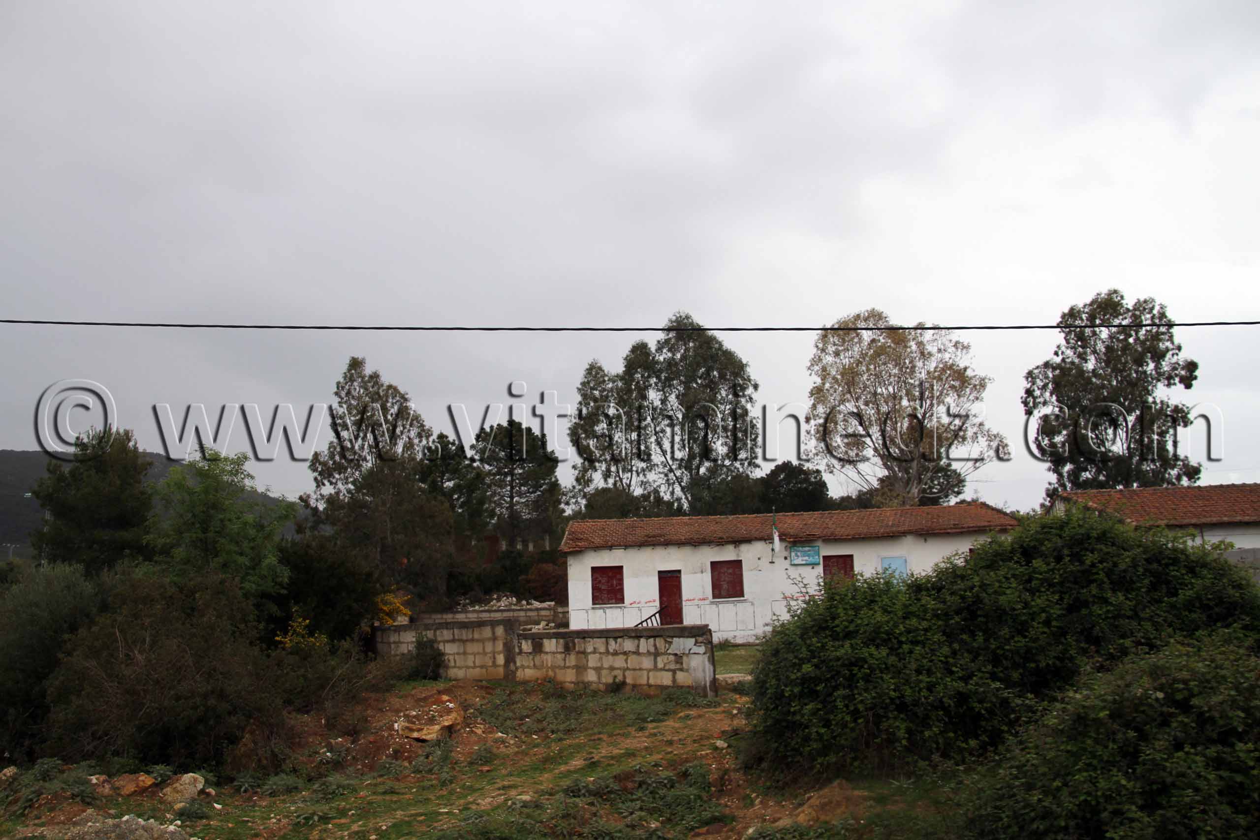 Village Heddada, commune de souarikh (Wilaya El Taref)