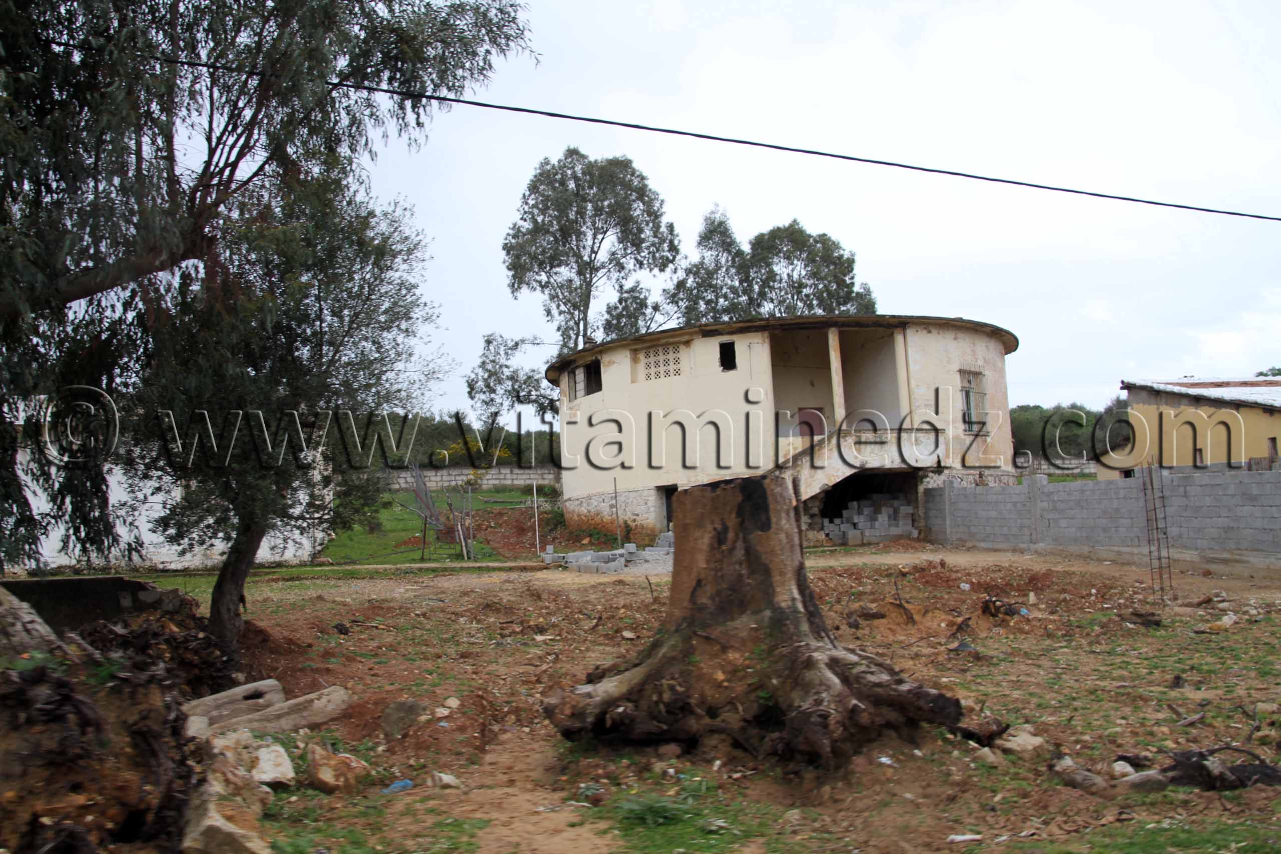 Village Hdada, commune de souarekh (Wilaya El Taref)