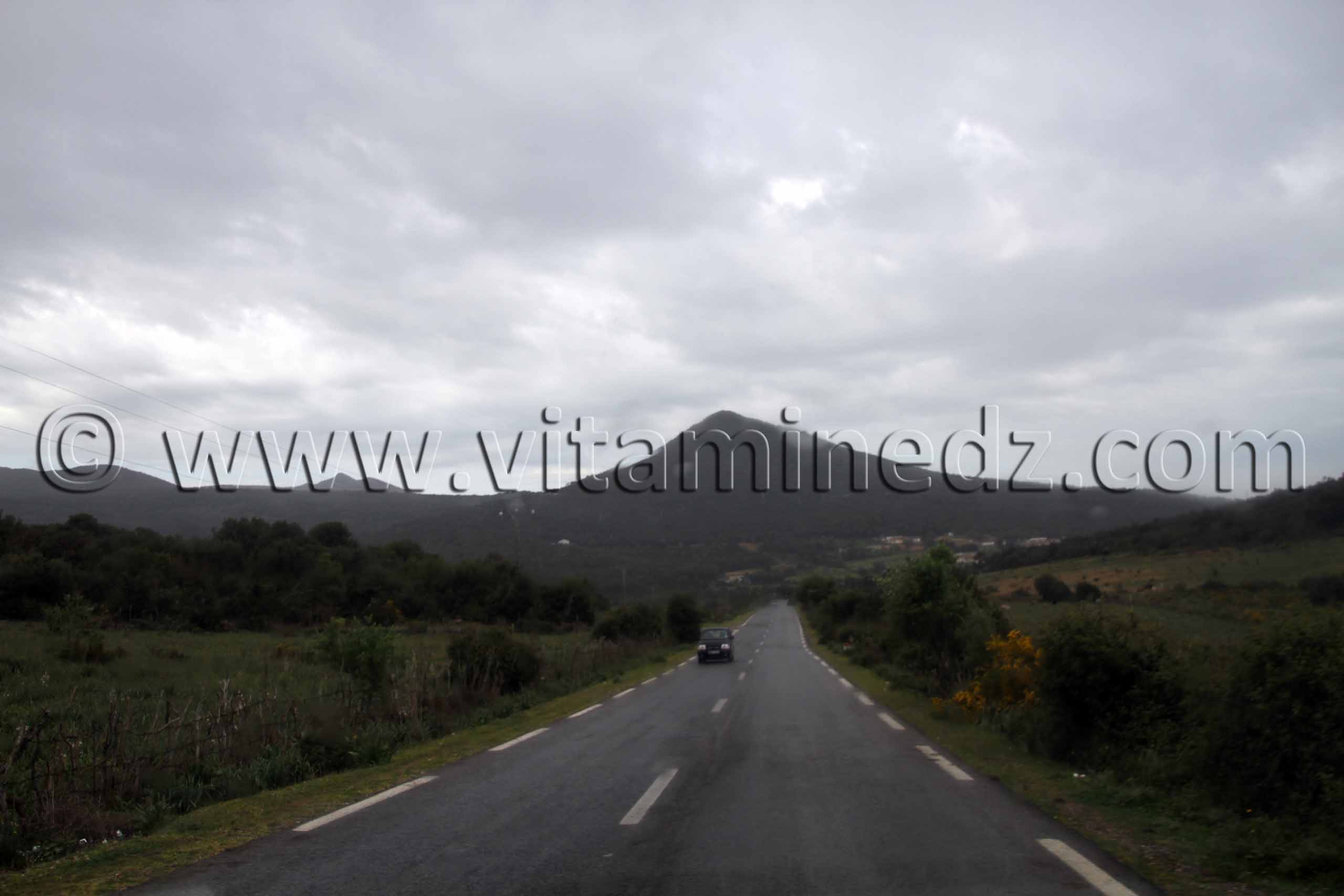 Frontières algéro-tunisiennes, commune de souarekh  Oum Theboul, Haddada, Mechta Meloul ... (Wilaya El Taref)