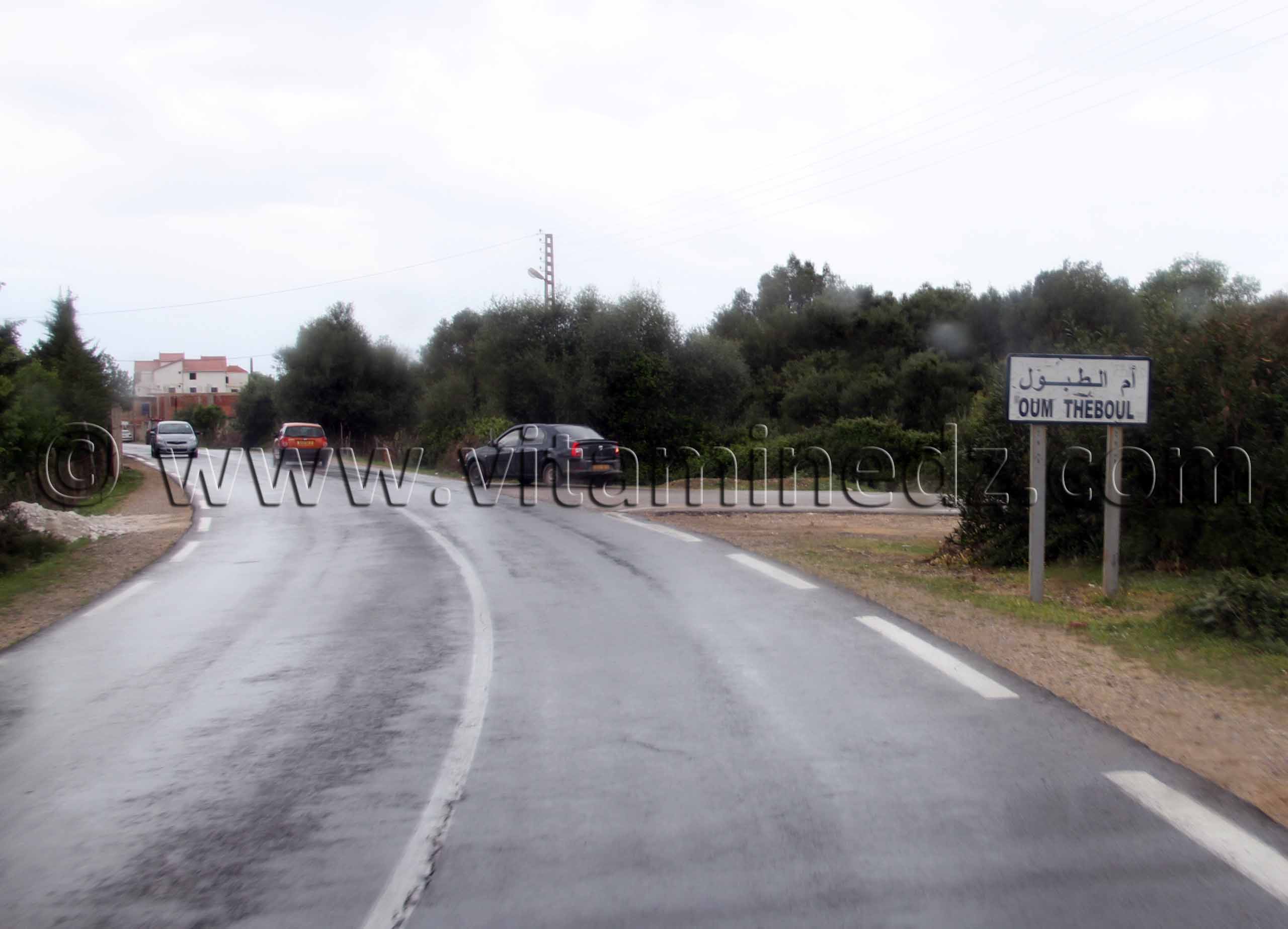 Frontières algéro-tunisiennes, commune de souarekh  Entree Oum Theboul