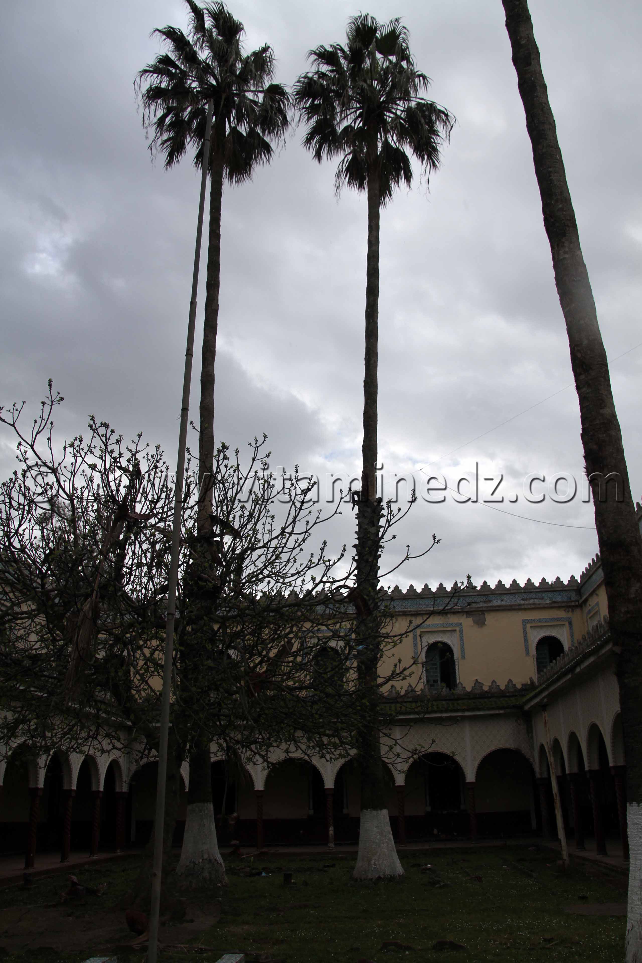 Frontières algéro-tunisiennes, commune de souarekh  Oum Theboul, Haddada, Mechta Meloul ... (Wilaya El Taref)