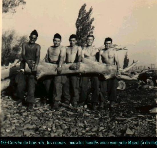 La corvé de bois ferme MARTIN KAIS