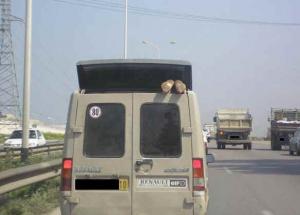 En route vers Bouira