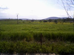 takhemaret..ya7asserah