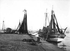 Le port de la Madrague, Alger (1950)