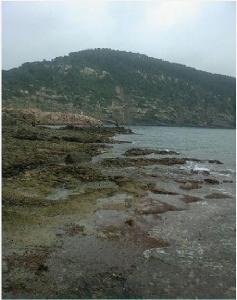 Plage de Honaine, Tlemcen