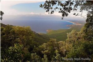 La baie Guerbes depuis Filfila