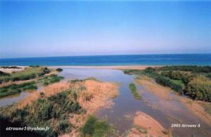 Oued Damous