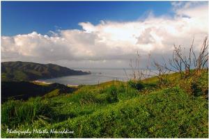 Vue générale sur La Grande Plage