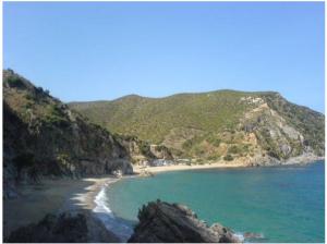 Paysage de la plage du ravin des lions