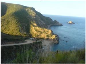 Le Ravin des Lions, Skikda