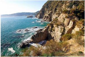 La plage du Ravin des singes, Skikda