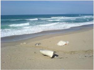 Sur la plage de Larbi Ben M'hidi, Jeanne d'arc
