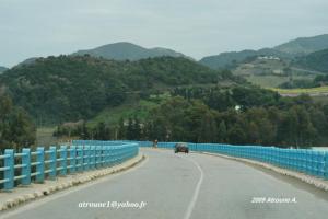 Le pont de Oued Kellal