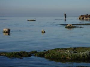 Un pêcheur sur la plage de Salamandre, Mostaganem
