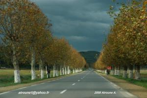 Sur la route de Sidi Amar ( RN 11 ).