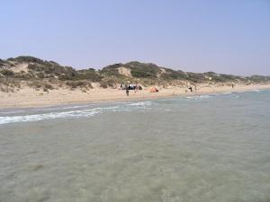 Plage de Macta, Oran