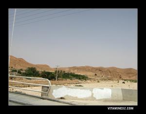 Oued Sadoun à Ech Chaaiba