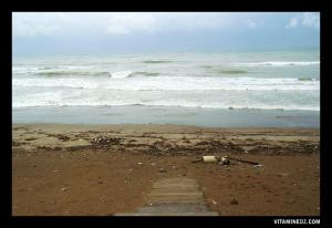 Sur la plage de Sidi Fredj
