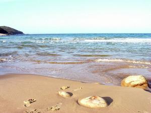 Sur la plage Cap Rosa, El Tarèf