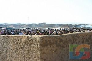 Le marché de Ouled Djellal, Biskra