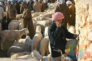 Le marché de Ouled Djellal, Biskra