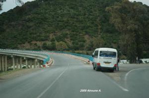 Pont de Oued Harbil