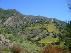 paysage de draa kebila (Algérie)