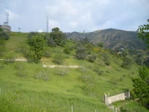 paysage de draa kebila (Algérie)