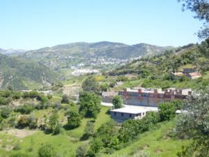 paysage de draa kebila (Algérie)