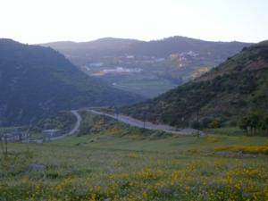 paysage de draa kebila (Algérie)