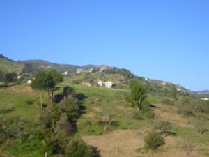 paysage de draa kebila (Algérie)