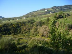 paysage de draa kebila (Algérie)