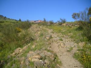 paysage de draa kebila (Algérie)