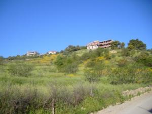 paysage de draa kebila (Algérie)