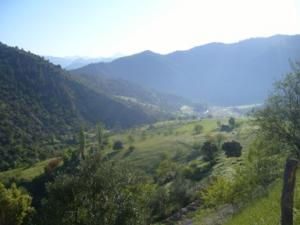 paysage de draa kebila (Algérie)