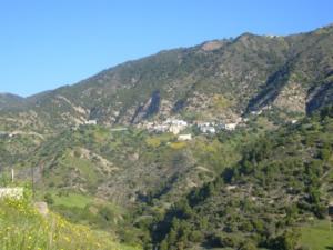 paysage de draa kebila (Algérie)