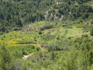 paysage de draa kebila (Algérie)