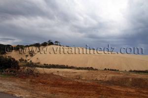 Dune protégée La Messida (El Kala , Wilaya, El Tarf)