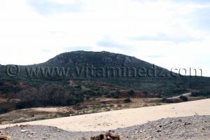 Djbel Messida (El Kala , Wilaya, El Tarf)