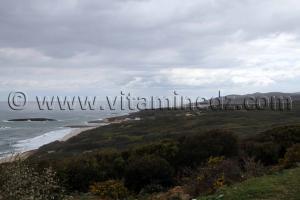 Plage d\'El 3winet Proche de Tunisie (El Kala , Wilaya, El Tarf)