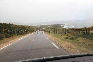 Parc national d’El-Kala  qui viole les lois ?  (Wilaya Tarf)