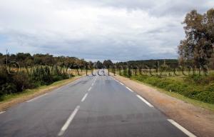 Tourisme  Annaba El Kala, Route du littoral (ancien tracé romain)