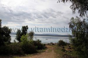 Lac Oubeïra , Parc National d\'El Kala