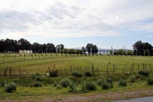 Lac Oubeïra , Parc National d\'El Kala