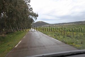 Parc National d\'El Kala, Route vers Messida, (Wilaya Tarf)